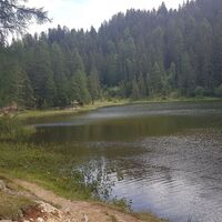 11.5 km Badeplatz Grünsee