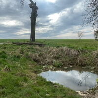 Rundtour Berkach