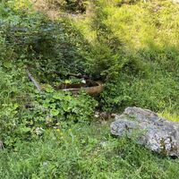 Schattiges Quellbründl mit ebensolchem Raststein (sehr bequem!)