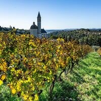 Weinberg von Bellet - Nizza