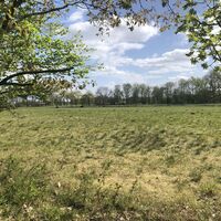 Teutoburger Wald |Harsewinkel | M. Lauterbach
