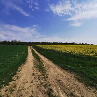 Weg nach Kottendorf