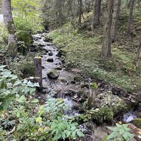 Hier unterhalb ist ein Sägewerk; früher war hier offenbar eine Wasser-Zuleitung