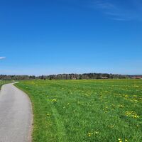 Wiese bei Moosrain