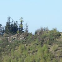 Zoom-Ausblick zum Kleinen Jauerling