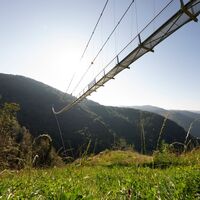 Hängebrücke Blackforestline von unten