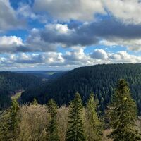 Ausblick vom Turm der Burg Hornberg