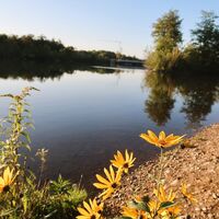 Auwiesen bei Graz