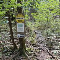 Die Sperre der auf Mittagstein, Feichtaberg etc führenden Pfade wurde seit dem Waldbrand 2021 nun bis Ende 2027 verlängert -- man sieht auch jetzt noch Spuren dieses Brandes