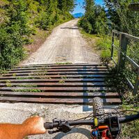 Viehgitter nach der Weißenbachalm