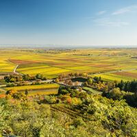 Ausblick Leininger Burgenweg
