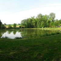 Erlensee 2