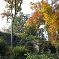 Gimpelstein
