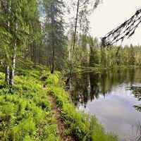 Uferweg des Luotolampi am Susitaipale