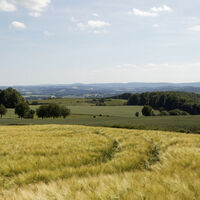 Landschaft am Kleeberg CC BY-SA - LTM.jpg