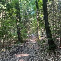 Waldbaden bei Bad Tatzmannsdorf