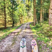 Wanderung Oberwarngau Taubenberg