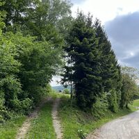 Hier links (rote Zeichen) weiter, rechts warat ein Schlenkerer zum Gasthaus Steinerhof möglich