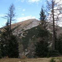 Zur Riegerin