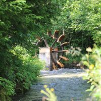 Alpengarten Pfronten