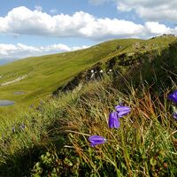 Blick zu den Meeraugen