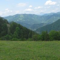 Blick zum Tiroler Kogl