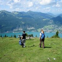 Schafbergrunde. Bei den Schafbergalmen