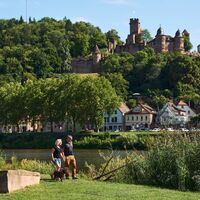 Taubertal_Spaziergang am Main mit Blick auf die Burg Wertheim