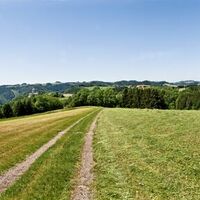 Blick zum Schloss Neuhaus