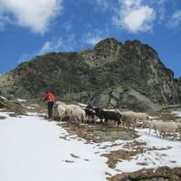 Breitlahnhütte - Preintalerhütte