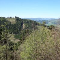 Ausblick zum Kleinen Jauerling