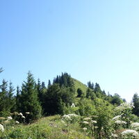 Grasgupf Burgspitz Aufstiegssteig