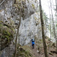 "Öhler" am Weg zum "Schober"