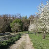 Obstschaugarten