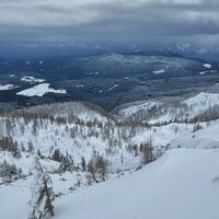 Blick über die weiten Wälder von Pokljuka.