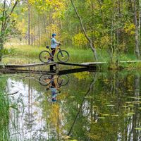 Jyri Trail, Nuottilammen polkusilta