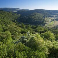 Aussicht von Hohenöllen zur Lauterschleife