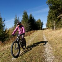 Grönegg - Gantrisch Bike-Panoramaweg