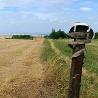 Friedrichsdorf / Witterda - Historischer  Wegweiser