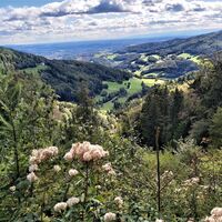 Patscha_St. Kathrein am Offenegg_Oststeiermark
