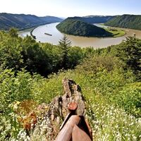 Donaublick vom CICONIA-Weg auf die Schlögener Schlinge