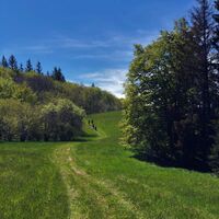Pfad des Maquis in Richtung der Ferme de Morez