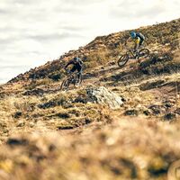 Scheidtrail für fortgeschrittene Biker