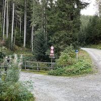 Hier dann links rein (Wegweiser: 'Bettlbauer')