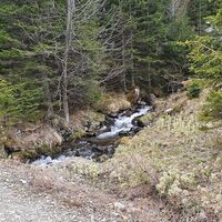7.6 km Abflussbach von den Scheibelseen