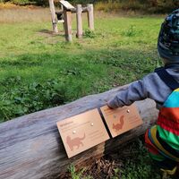 Käfer-Safari/ Walderlebnisplatz Hubertusbrunnen