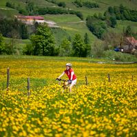 Unterwegs im steirischen Frühling