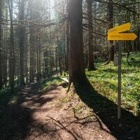 Wegweiser am Fürstensteig
