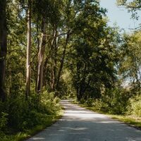 Radtour am Donauradweg Aulandschaft Enns