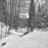 Schmugglerweg Kössen